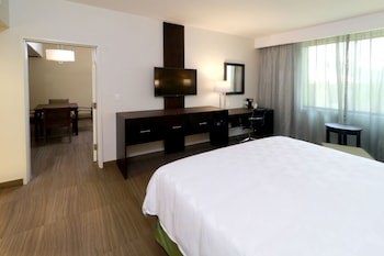 Holiday Inn Tampico Altamira, An Ihg Hotel