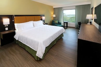 Holiday Inn Tampico Altamira, An Ihg Hotel
