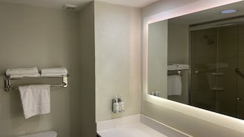 Holiday Inn Tampico Altamira, An Ihg Hotel