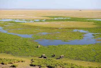 Amboseli Serena Safari Lodge