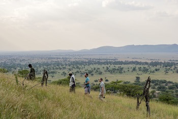 Serengeti Serena Safari Lodge