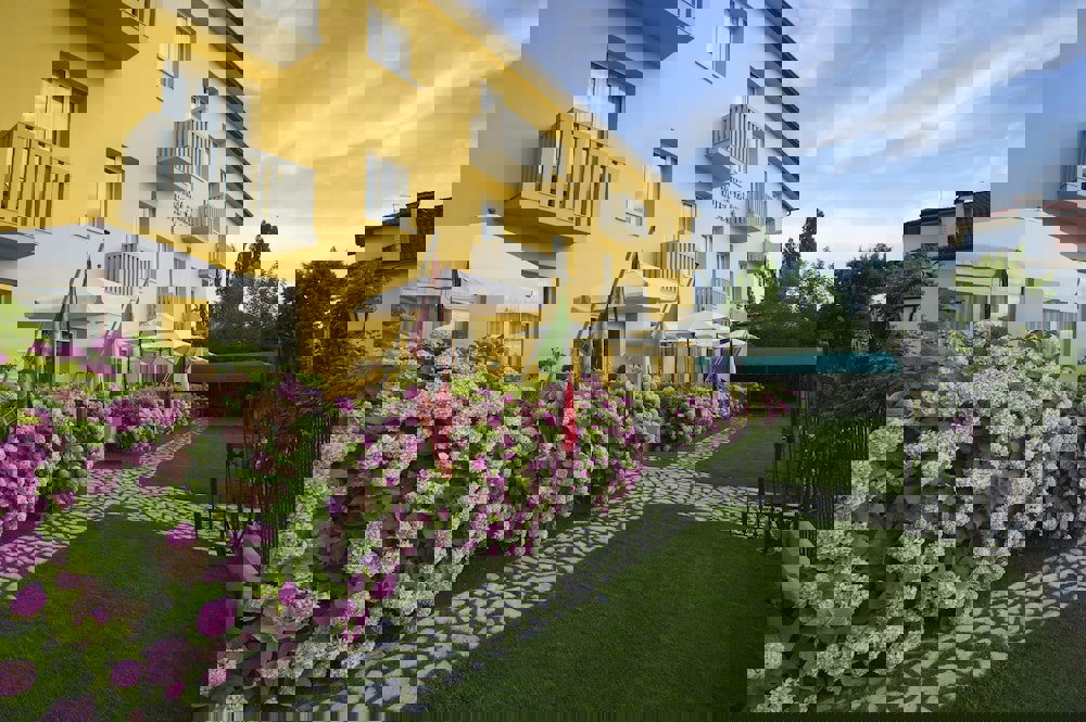 Viktoria Palace Hotel