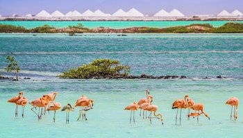 Van Der Valk Plaza Beach & Dive Resort Bonaire