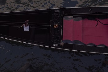 Violino D’Oro Venezia galeri fotoğrafı