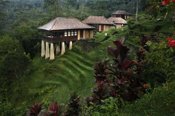 Bagus Jati Health & Well Being Retreat