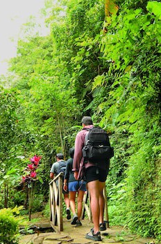 Bagus Jati Health & Well Being Retreat
