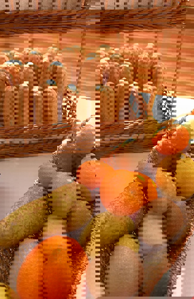 Escale Oceania Nantes Aeroport