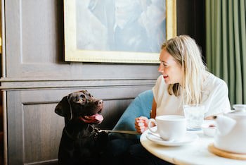 Four Seasons Hotel Hampshire