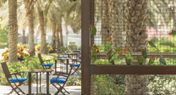 Coral Beach Resort - Sharjah