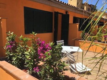 Orto di Roma galeri fotoğrafı