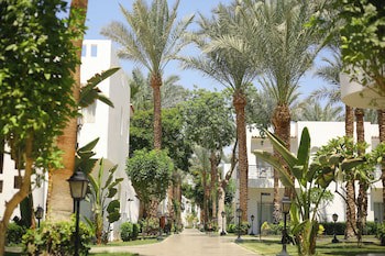 JAZ Fanara Resort galeri fotoğrafı
