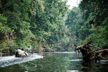Mutiara Taman Negara
