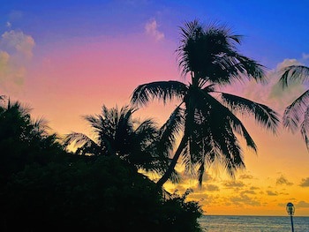 Cocoplum Beach Hotel