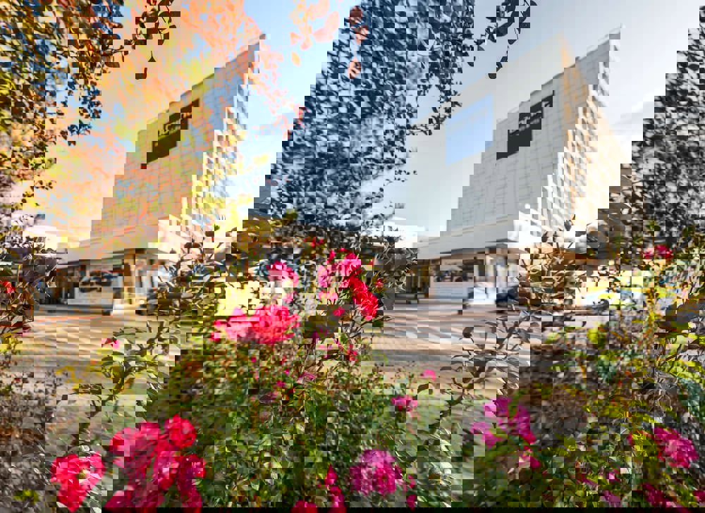 Dorint Main Taunus Zentrum Frankfurt/Sulzbach