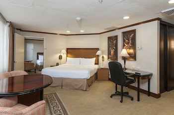 Delta Hotels By Marriott San Jose Aurola