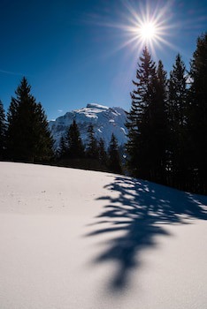 H+ Hotel & Spa Engelberg