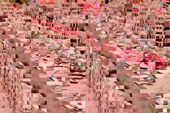 Sheraton Istanbul Atakoy Hotel