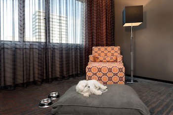 Sheraton Essen Hotel galeri fotoğrafı