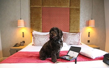 Gonville Hotel