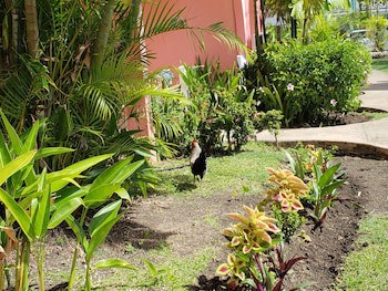 Dover Beach Hotel
