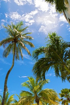 Barbados Beach Club Resort - All Inclusive