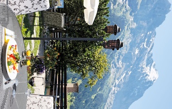 Hotel Spinne
