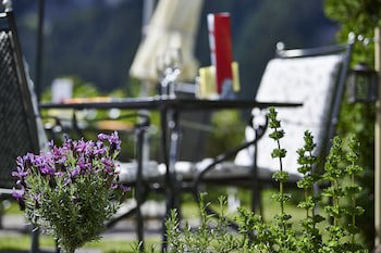 Hotel Spinne