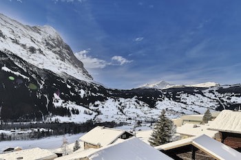 Hotel Spinne