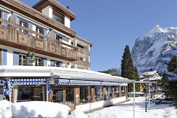 Hotel Spinne