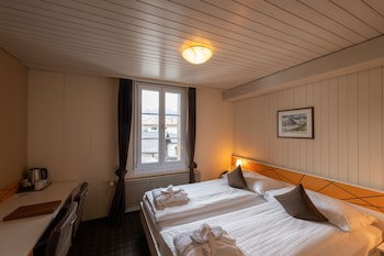 Hotel Spinne
