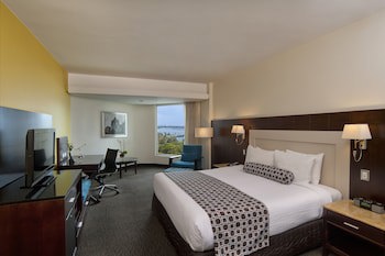 Crowne Plaza Santo Domingo, An Ihg Hotel