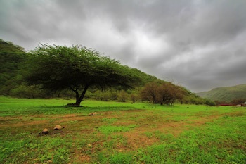 Crowne Plaza Resort Salalah, An Ihg Hotel