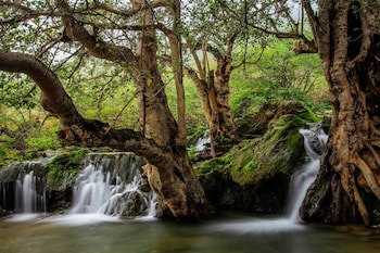 Crowne Plaza Resort Salalah, An Ihg Hotel
