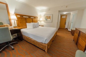 Irazu Hotel & Studios