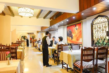 Golden Tulip Flamenco