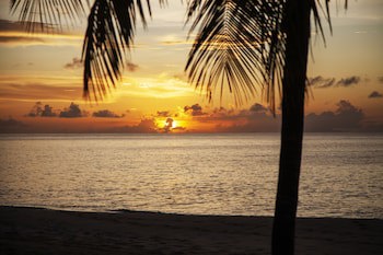 Galley Bay Resort & Spa All Inclusive Adults Only