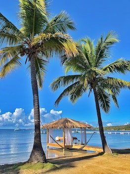 Copamarina Beach Resort & Spa