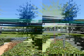 Renaissance Polat Istanbul Hotel