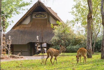 Victoria Falls Safari Club