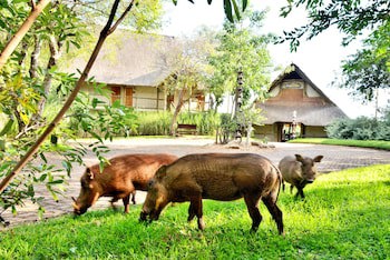 Victoria Falls Safari Club