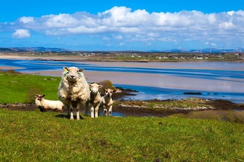 The Abbey Hotel Donegal