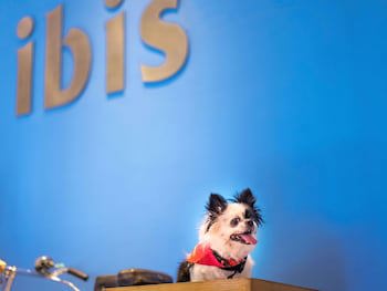 ibis Dusseldorf Hauptbahnhof galeri fotoğrafı