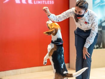 ibis Dusseldorf Hauptbahnhof galeri fotoğrafı
