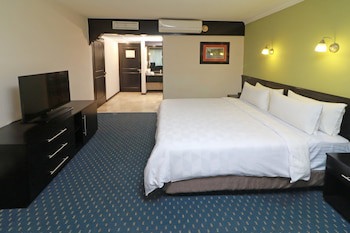 Holiday Inn San Luis Potosi Quijote, An Ihg Hotel