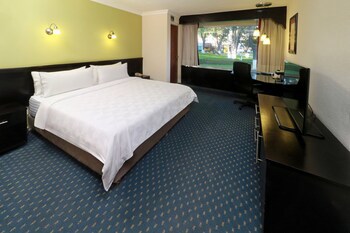 Holiday Inn San Luis Potosi Quijote, An Ihg Hotel