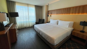 Holiday Inn San Luis Potosi Quijote, An Ihg Hotel