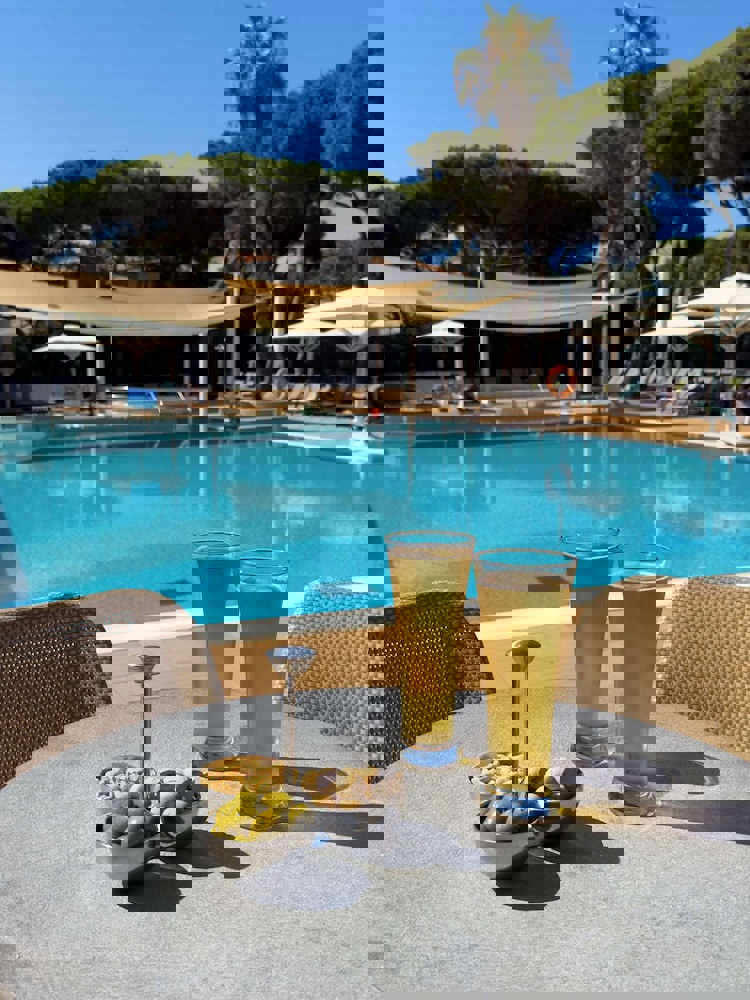 The Dan Carmel Hotel