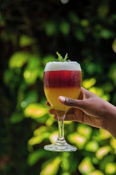 Ibis Styles Abidjan Marcory