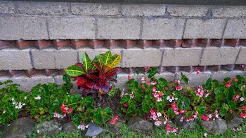 Hotel San Buenaventura De Atitlan