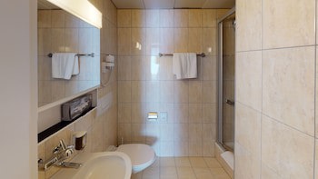 Hotel Ambassador Brig